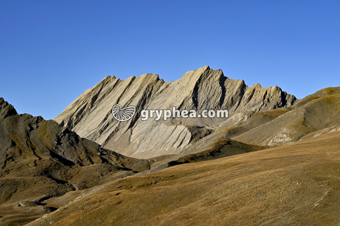 Nappe des schistes lustrés (Queyras, France) - gryphea.org